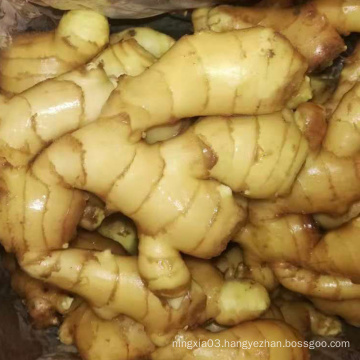 China Export Price 1kg China Mature Fresh Ginger